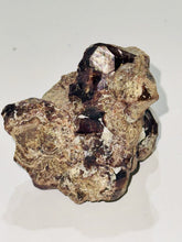 Load image into Gallery viewer, 175g Natural Red Garnet Crystal Cluster Specimen on Matrix Display - Collector