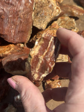 Load image into Gallery viewer, 4+ pound lot of Red Banded Arizona Agatized Petrified Limb wood for lapidary