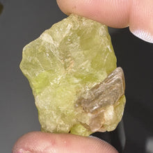 Load image into Gallery viewer, 30g Rare Brazilianite Rough W/ Muscovite Gemstone Translucent Mineral Specimen