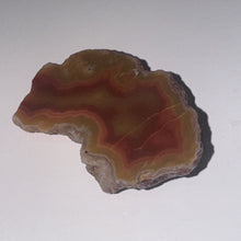 Load image into Gallery viewer, 13g High-Grade Banded Laguna Agate Gemstone Specimen Mexico Lapidary