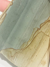 Load image into Gallery viewer, 100g Old Stock Succor Creek Picture Jasper Scenic Slab Oregon Lapidary Rough