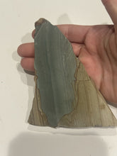 Load image into Gallery viewer, 100g Old Stock Succor Creek Picture Jasper Scenic Slab Oregon Lapidary Rough