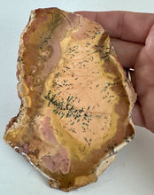Load image into Gallery viewer, 94g Morrisonite Porcelain Style Picture Jasper Rough Slab Lapidary 68x92mm
