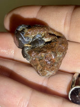 Load image into Gallery viewer, 104ct Fire Agate Windowed Botryoidal Rough Gemstone Specimen Lapidary 23x27mm
