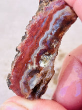 Load image into Gallery viewer, 1 Pound Bulk Old Stock Rough 1950's Agate GemStone Mineral Lapidary Collection