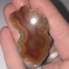 Load image into Gallery viewer, 13g High-Grade Banded Laguna Agate Gemstone Specimen Mexico Lapidary