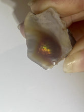 Load image into Gallery viewer, 54ct Fire Agate Windowed Rough Old Stock Gemstone Specimen Lapidary 22x25mm