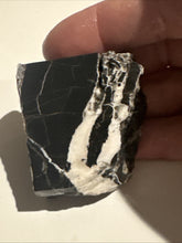 Load image into Gallery viewer, 57g Rough Turquoise White Buffalo Dolomite Slab Otteson GemStone Lapidary