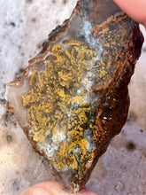 Load image into Gallery viewer, 1 Pound Bulk Old Stock Rough 1950's Agate GemStone Mineral Lapidary Collection