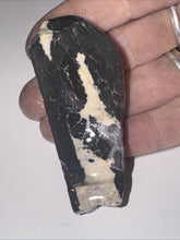 Load image into Gallery viewer, 40g Natural Rough Turquoise White Buffalo Dolomite Otteson GemStone Lapidary