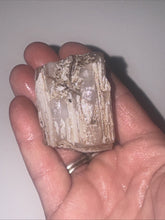 Load image into Gallery viewer, 60g Pink Chalcedony Agate Limb Cast Petrified Wood Gemstone Specimen Lapidary