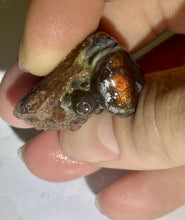 Load image into Gallery viewer, 104ct Fire Agate Windowed Botryoidal Rough Gemstone Specimen Lapidary 23x27mm
