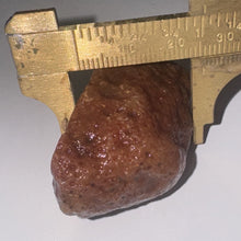 Load image into Gallery viewer, 40g High-Grade Banded Laguna Agate Gemstone Specimen Mexico Lapidary