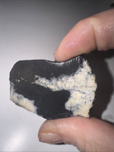 Load image into Gallery viewer, 19g Natural Rough Turquoise White Buffalo Dolomite Otteson GemStone Lapidary