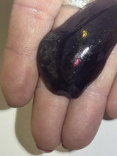 Load image into Gallery viewer, 69ct Rare Fire Obsidian-Glass Butte, Oregon Gemstone Lapidary Rough Specimen