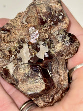 Load image into Gallery viewer, 175g Natural Red Garnet Crystal Cluster Specimen on Matrix Display - Collector