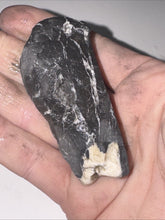 Load image into Gallery viewer, 40g Natural Rough Turquoise White Buffalo Dolomite Otteson GemStone Lapidary