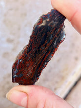 Load image into Gallery viewer, 10 Pound Bulk Old Stock Rough 1950's Agate GemStone Mineral Lapidary Collection