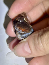Load image into Gallery viewer, 104ct Fire Agate Windowed Botryoidal Rough Gemstone Specimen Lapidary 23x27mm