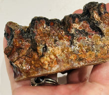 Load image into Gallery viewer, 210g Wingate Pass Plume Agate Rough Gemstone Specimen Old Stock California