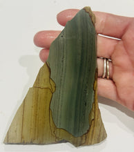 Load image into Gallery viewer, 100g Old Stock Succor Creek Picture Jasper Scenic Slab Oregon Lapidary Rough