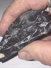 Load image into Gallery viewer, 40g Natural Rough Turquoise White Buffalo Dolomite Otteson GemStone Lapidary