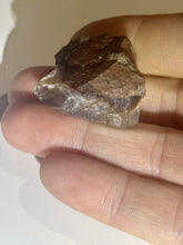 Load image into Gallery viewer, 54ct Fire Agate Windowed Rough Old Stock Gemstone Specimen Lapidary 22x25mm