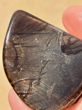 Load image into Gallery viewer, 112ct Rare Fire Obsidian-Glass Butte, Oregon Gemstone Lapidary Rough Specimen
