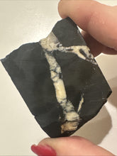 Load image into Gallery viewer, 55g Rough Turquoise White Buffalo Dolomite Slab Otteson GemStone Lapidary