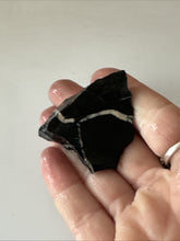 Load image into Gallery viewer, 18g Natural Rough Turquoise White Buffalo Dolomite Otteson GemStone Lapidary